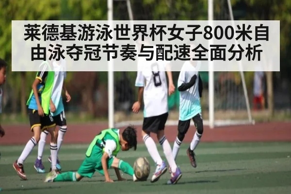 莱德基游泳世界杯女子800米自由泳夺冠节奏与配速全面分析